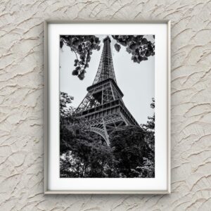 Intrigo Parigino: L'Iconica Torre Eiffel circondata da Bouganville in Bianco e Nero